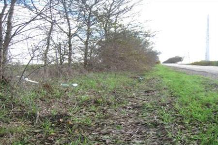 roadside with small amount of litter